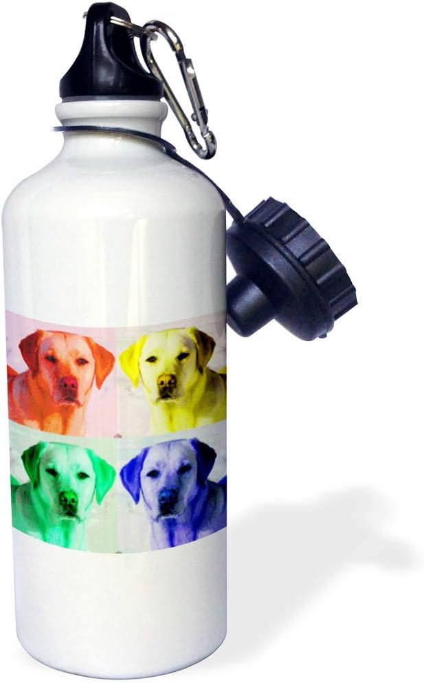 3dRose Labrador Retriever, dog, puppy, animal, pet, pop art Sports Water Bottle, 21 oz, Multicolor