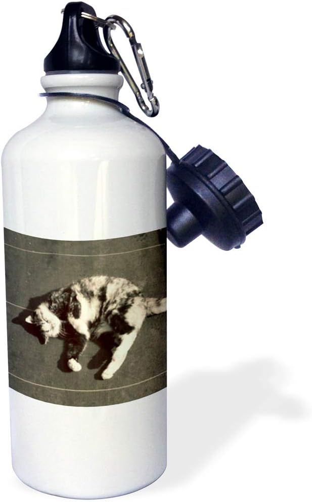 3dRose "calico cat on side" Sports Water Bottle, 21 oz, White