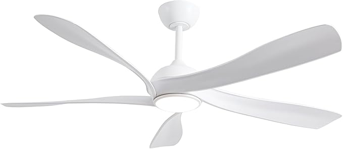 Fergus 5-Blade Lighted Ceiling Fan with LED Lamp with Remote