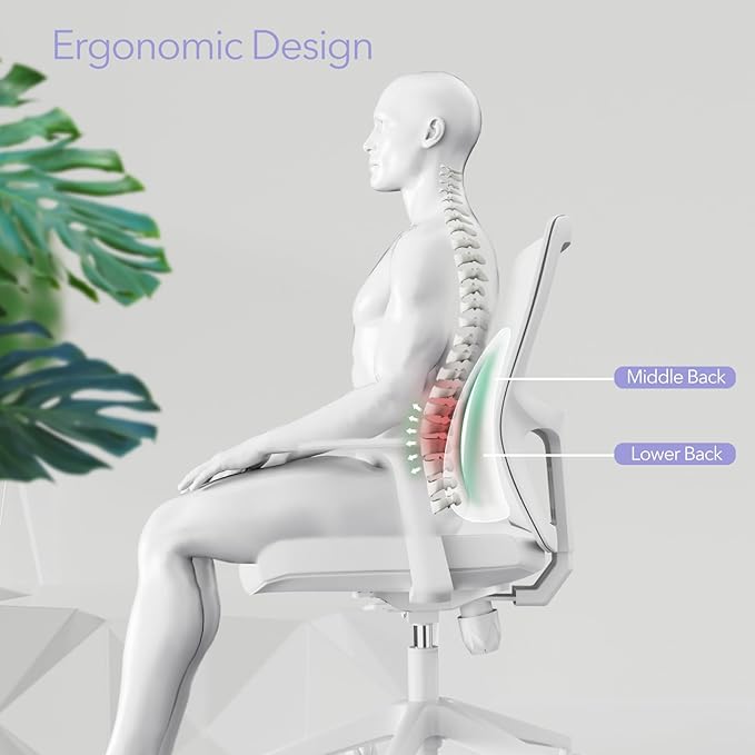 Lumbar Support Pillow for Office Chair - Ergonomic Memory Foam Back Support for Office Chair, Office Chair Back Support Cushion for Back Pain, Ideal Back Support Pillow for Car & Office, Black