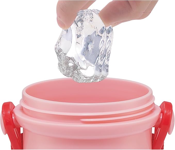 Skater Hello Kitty Plastic Water Bottle with Strap 16.23oz -Friends