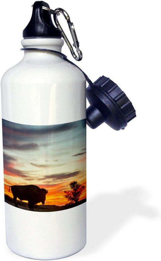 3dRose Bison silhouetted against sunset,Theodore Roosevelt NP, North Dakota-Sports Water Bottle, 21oz , Multicolored