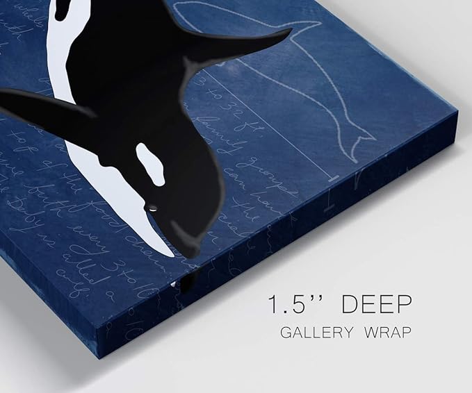 Renditions Gallery Canvas Animal Wall Art Modern Decorations Paintings Colorful Playful Orca Abstract Black & White Vibrant Artwork Canvas Prints for Kids Bedroom Nursery - 32"x48" LT33