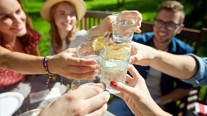 British Berkefeld Doulton ¦ W9121226 ¦ 7" Ultra Sterasyl ¦ Authentic Gravity Drinking Water Ceramic Replacement Candle Element Filter ¦ 8674 ¦ White ¦ Removes Heavy Metals (2 pack)