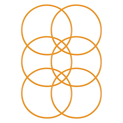 GE HHRING WS03X10054 O-Ring Compatible with Whole Home Filtration Models FXHSC FXHTC GXWH30C GXWH35F GXWH38F GXWH38S GXWH40L (6/Pack)