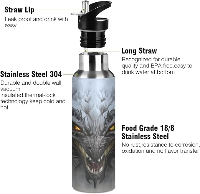 Blueangle 20 OZ Scary Dragon Water Bottle with Straw, Sports Water Bottle BPA Free Stainless Steel Water Jugs for Gym, Kitchen, Working, Outdoor（971）