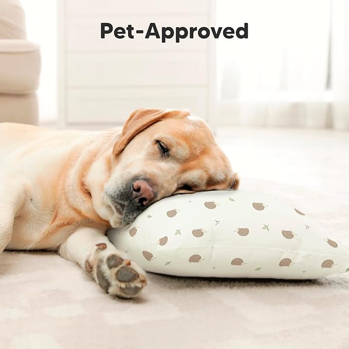 Toddler Pillow with Pillowcase - 10x18 My Little Dreamy Pillow, Organic Toddler Pillows for Sleeping, Kids Pillow, Small Pillows, Toddler Travel Pillows for Sleeping, Toddler Bed Pillows (Bruce)