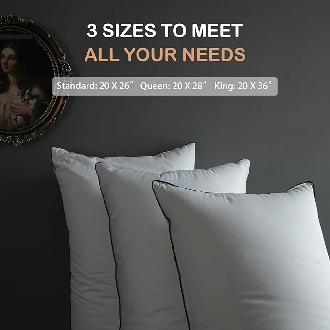 Luxury All Hungarian Goose Down Pillows Queen Size, Soft and Support Down Bed Pillow for Back,Side,Stomach Sleepers, 480 Thread Count 100% Cotton Shell, Queen Size Soft Pillow 1 Pack 20"x28"