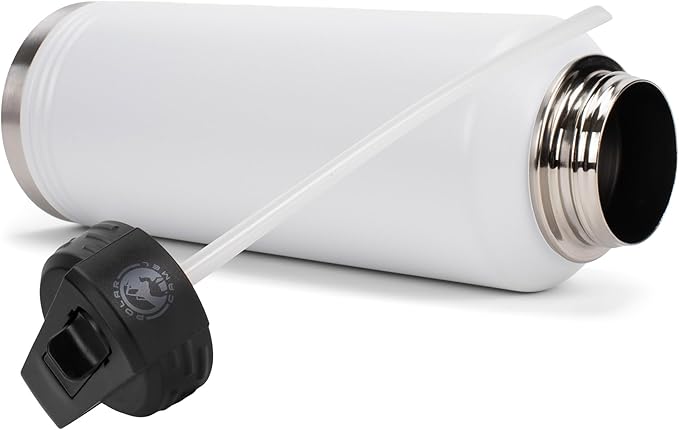 Elanze Designs Dog Dad Pawprint White 32 ounce Stainless Steel Water Bottle With Straw