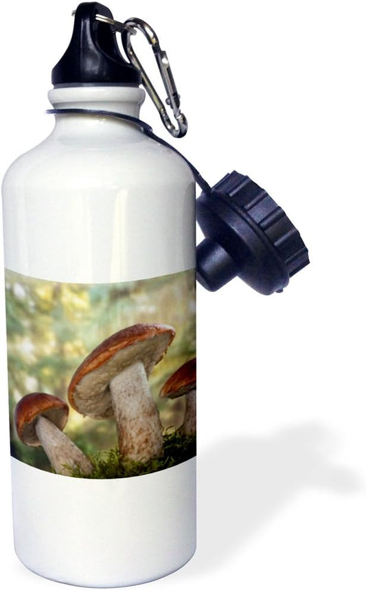 3dRose USA, Washington, Seabeck. Leccinum insigne, mushroom. -Sports Water Bottle, 21oz , 21 oz, Multicolor