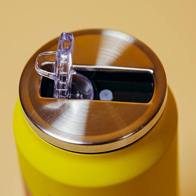 Kawaii Water Bottles Stainless Steel Water Bottle Kawaii Water Bottle with Straw Japanese Water Bottle Insulated (500ml/16.12oz，White lychee)