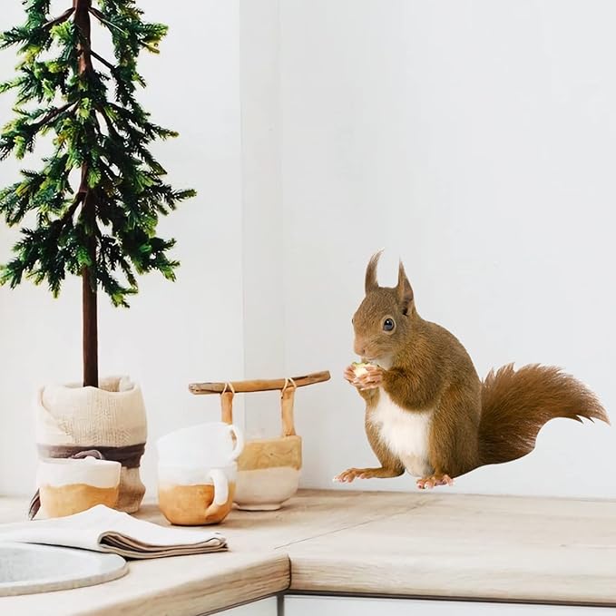 Cute Squirrel Decals Peel and Stick Vinyl Squirrel Wall Art Sticker for Bedroom Kitchen Bathroom Kids Room Decor Cafe Shop Wall Window Closet Decor