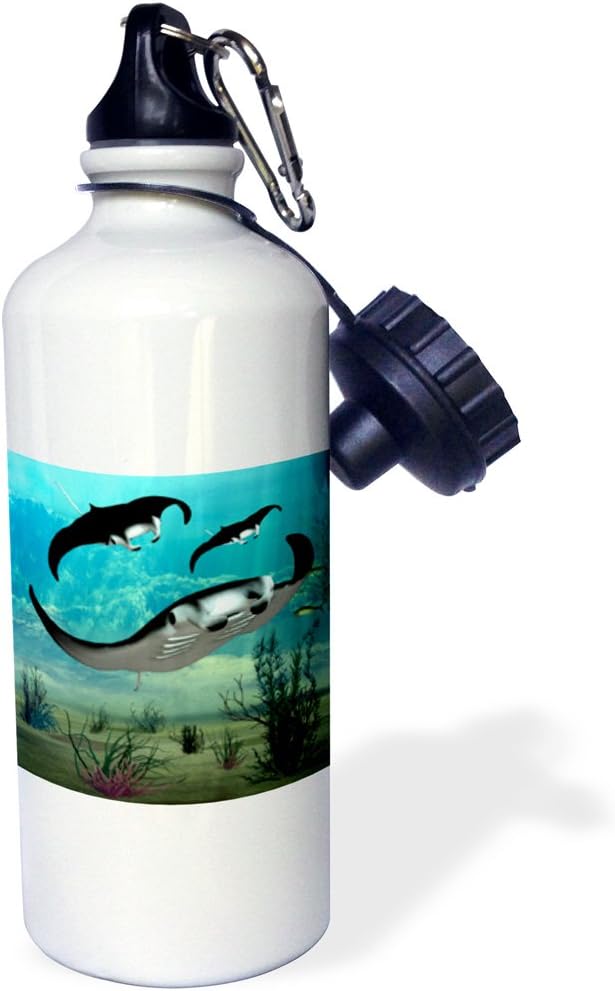 3dRose Manta Rays Swimming Sports Water Bottle, 21 oz, White