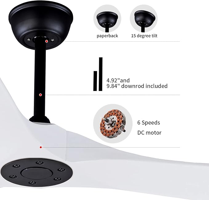 Bigzone 88" Indoor Ceiling Fan With Remote Control, DC Motor Quiet Energy Saving,3 White Balsa Wood Blades,Outdoor/Indoor Ceiling Fan With Reversible Blades