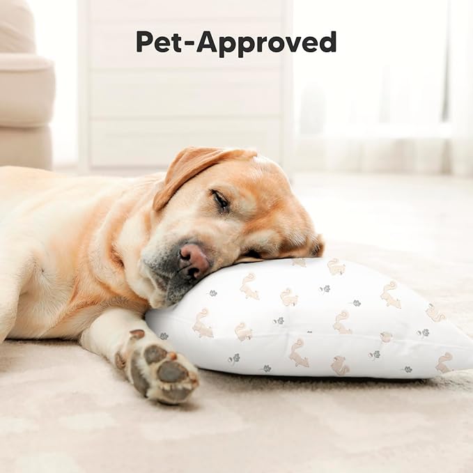 Toddler Pillow with Pillowcase - 10x18 My Little Dreamy Pillow, Organic Toddler Pillows for Sleeping, Kids Pillow, Small Pillows, Toddler Travel Pillows for Sleeping, Toddler Bed Pillows (Nibbles)