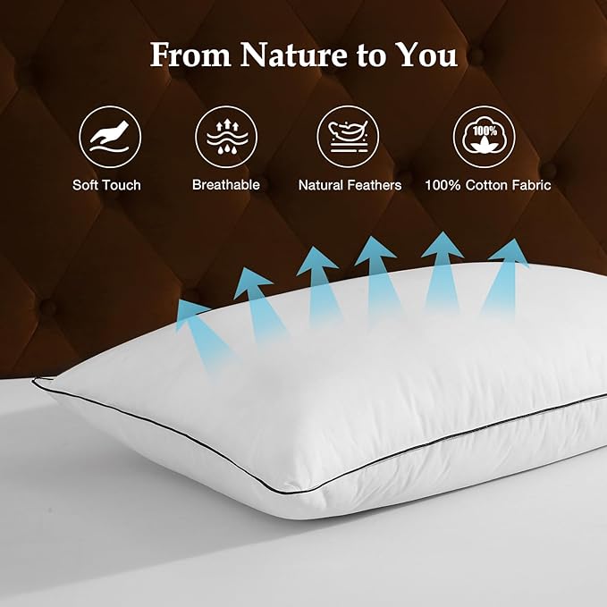 DWR Luxury Goose Feather Down Core Pillows Surrounded by Polyester - Set of 2 - King Size(20"x36") - Medium Firm - 100% Organic Cotton Cover