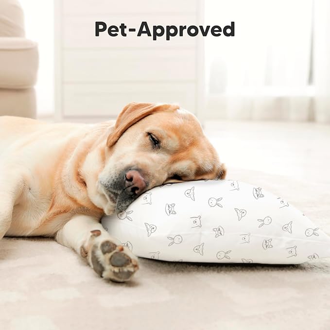 Toddler Pillow with Pillowcase - 10x18 My Little Dreamy Pillow, Organic Toddler Pillows for Sleeping, Kids Pillow, Small Pillows, Toddler Travel Pillows for Sleeping, Toddler Bed Pillows (KeaDoodles)