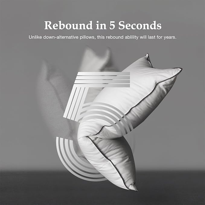 DWR Luxury Goose Feather Down Core Pillows Surrounded by Polyester - Set of 2 - King Size(20"x36") - Medium Firm - 100% Organic Cotton Cover