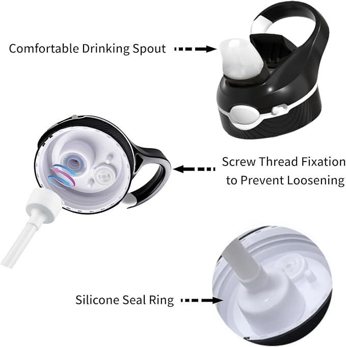 25oz Water Bottle with Clip Handle, Water Bottles with Locking Lid, Travel Plastic Water Bottle,Water Bottle with Straw, and Sports Tritan water bottle - Black