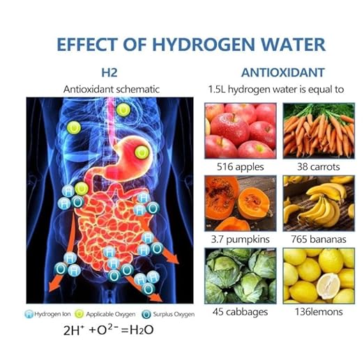 420-450 ml 2024 Glass Hydrogen Generator Water Bottle SPE PEM Technology Water Ionizer, Rechargeable Hydrogen Water Bottle, Hydrogen Rich Water Glass (Silver)