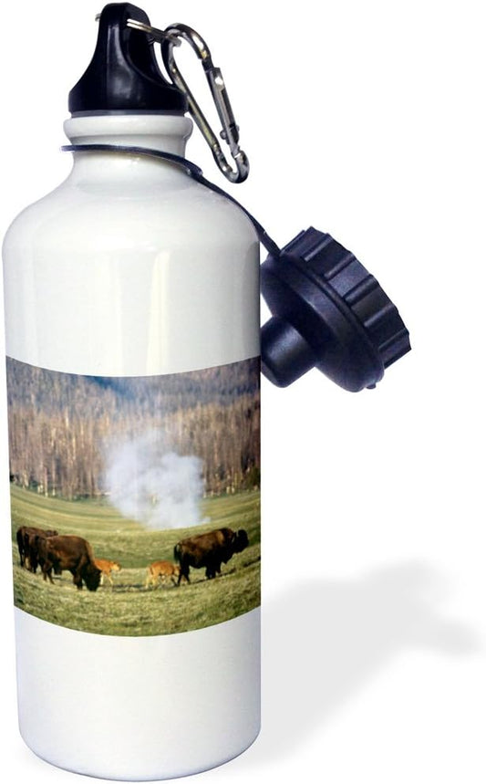 3dRose "Yellowstone NP, Bison herd US51 CSL0005 Charles Sleicher" Sports Water Bottle, 21 oz, White