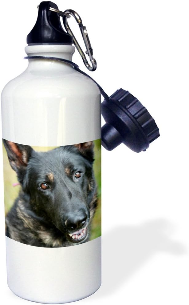 3dRose German Shepherd. -Sports Water Bottle, 21oz , Multicolored