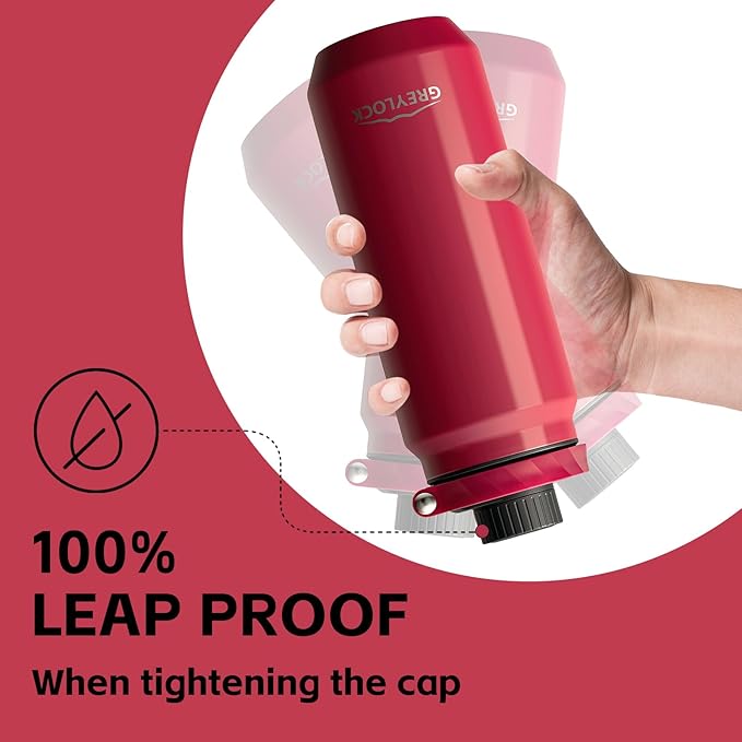 Greylock 20 oz Insulated Stainless Steel Water Bottle with Straw Lid- BPA-Free Leak Proof When Closed, Reusable Metal Water Bottle with Carry Handle for Travel Camping, 24 Hours Cold (Raspberryridge)