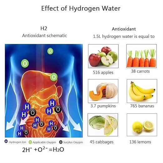 Premium Dual Mode Hydrogen Water Bottle, Portable Hydrogen Generator, 1800PPB 550ML Ion Water Bottle Hydro Water Suitable for Office,Travel & Daily Workout, Energy Booster with Hydrogen