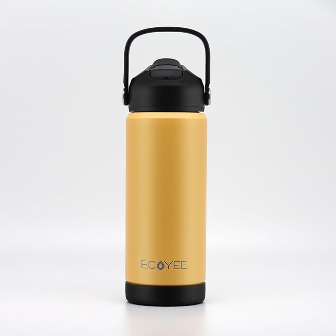 Water Bottles 18oz, Insulated Water Bottle with Straw - Stainless Steel Reusable Metal Water Bottle, Silicone Boot, Carry Handle, Double Wall Vacuum Leak Proof Tumbler for Traveling, Hiking, Gym