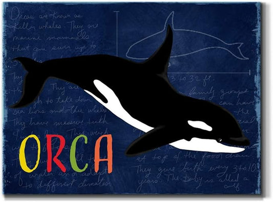 Renditions Gallery Canvas Animal Wall Art Modern Decorations Paintings Colorful Playful Orca Abstract Black & White Vibrant Artwork Canvas Prints for Kids Bedroom Nursery - 12"x18" LT33