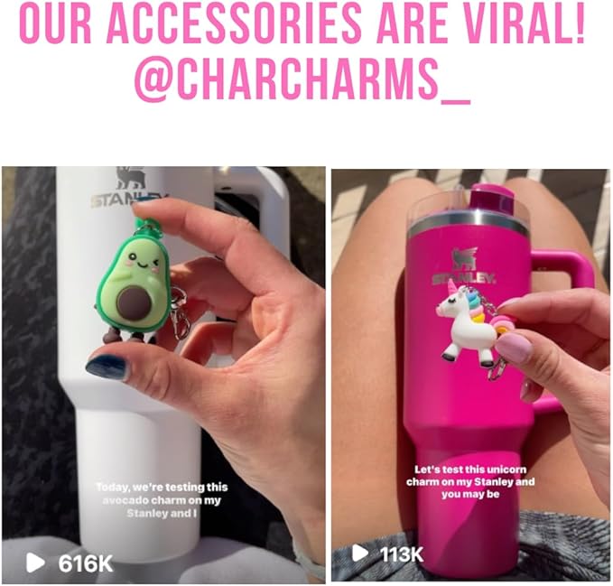 Water Bottle Charms Accessory, Stanley Accessory, Hydro Flask Charms, Personalize Hydration