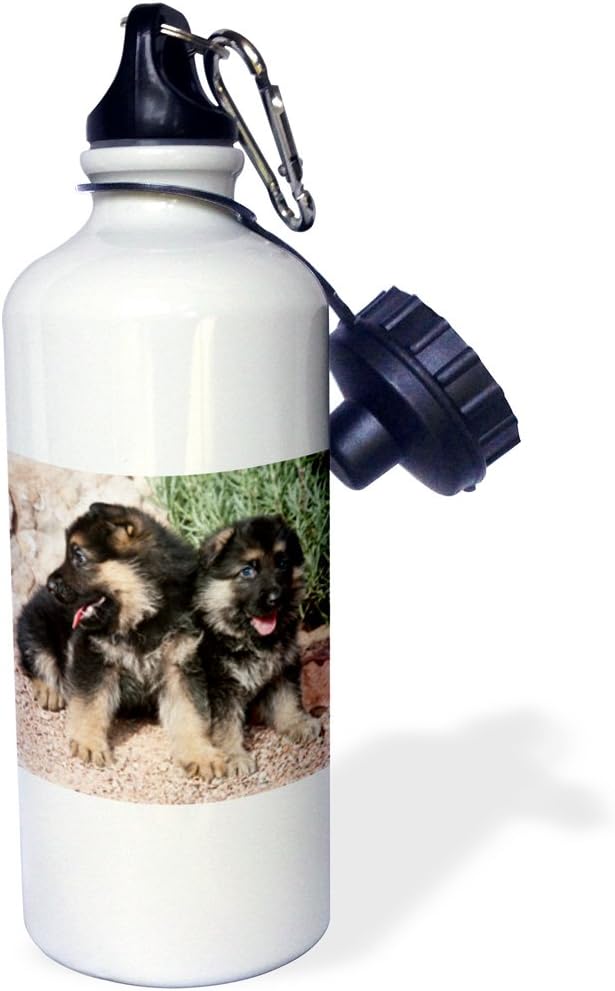 3dRose "Two German Shepherd puppy dogs NA02 ZMU0168 Zandria Muench Beraldo" Sports Water Bottle, 21 oz, White