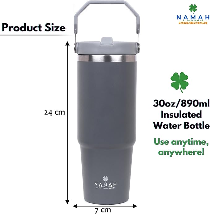 Tumbler with Handle & Extra Cloud LID – 30oz/900ml, Premium 304 Stainless Steel, Insulated Water Bottle, Leak-Proof, Steel Straw, Teddy Straw Cap, Cleaning Brush & Carabiner Hook (Stormy Slate Gray)