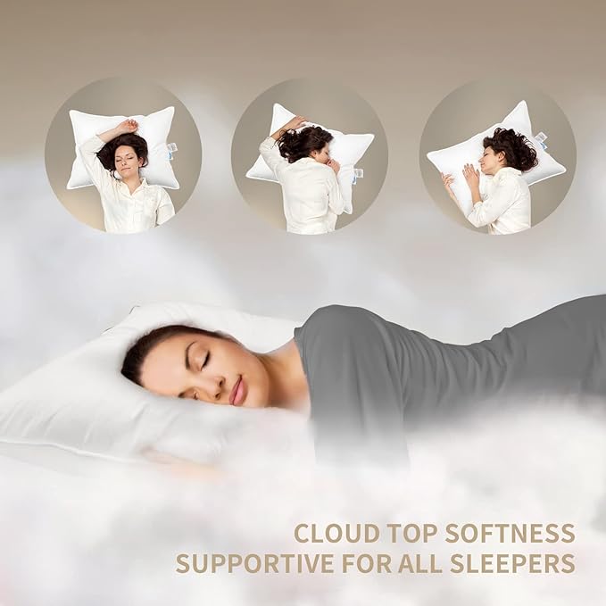 Natural Goose Down Pillows: Luxury Hotel Bed Pillow with 750 Fill Power, White Goose Down Sleeping Pillow with Pillowcase, Soft Pillow for Back, Side, Stomach Sleepers - 1 Pack, Standard (20" x 26")