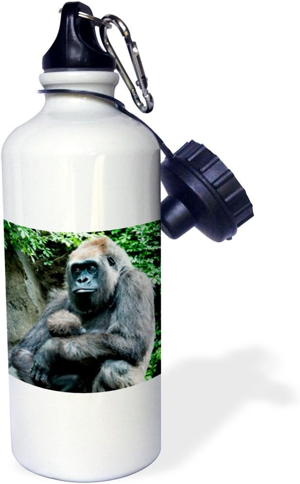 3dRose Gorilla Mom and Baby Sports Water Bottle, 21 oz, Multicolor
