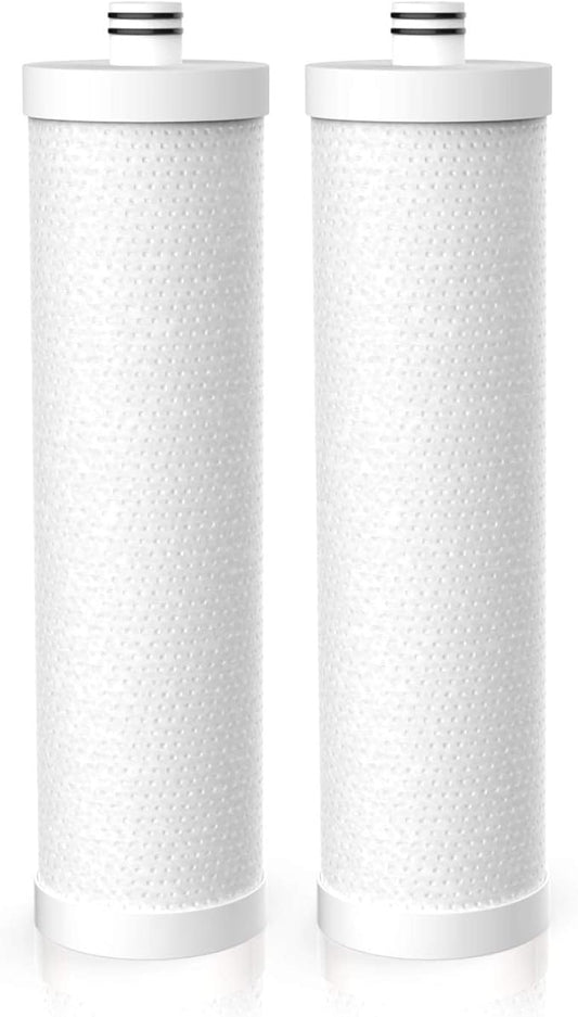 Frizzlife FZ-2 Replacement Filter Cartridge For MP99, MK99, MS99 Under Sink Water Filter & MV99 RV Filter - Pack 2