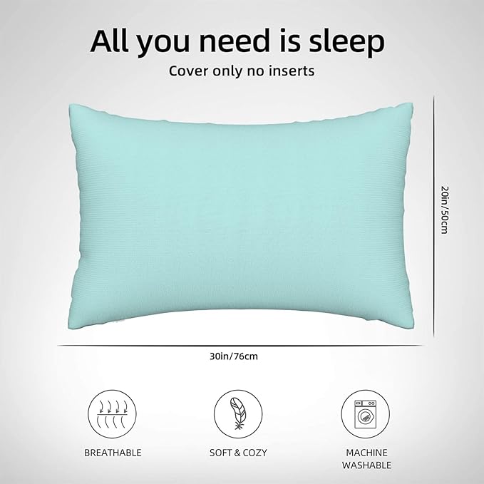 Pillowcase Pillow Case Standard Size 20 X 30 Pillow Cases Queen Size Pillow Covers Gifts for Women Men Girls Boys