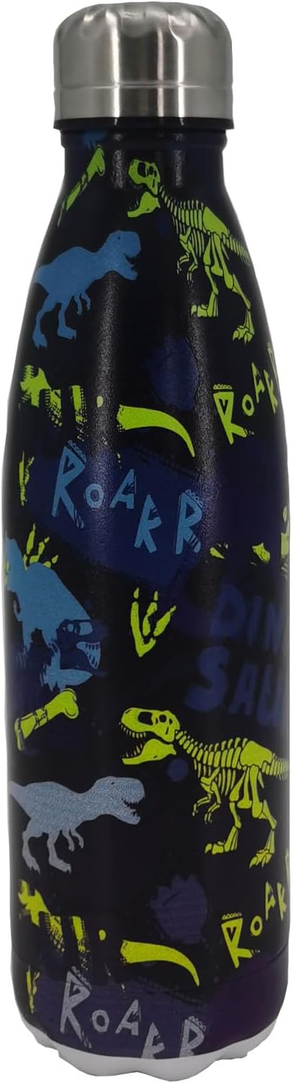 Dinosaur Insulated Sport Water Bottles Stainless Steel Travel Mugs BPA Free Tumbler For Outdoor Camping Travel 20 OZ