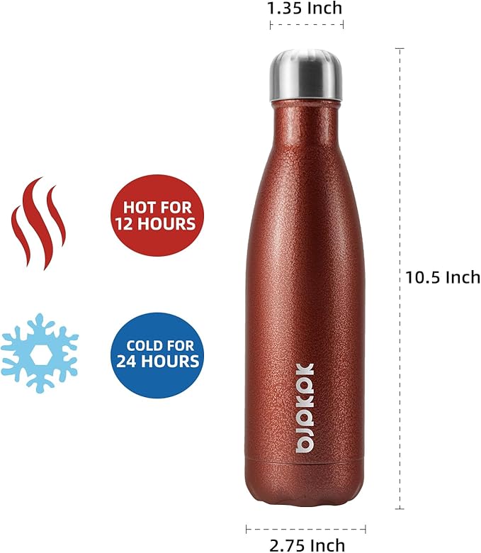 BJPKPK Insulated Water Bottles 17oz, Leak Proof Stainless Steel Water Bottle Keeps Cold for 24H and Hot for 12H, BPA Free Water Bottle,Brick Red