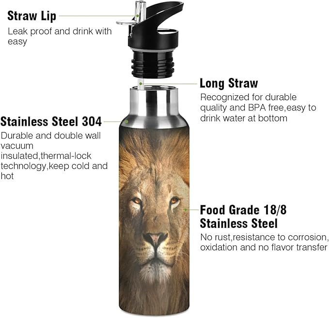 xigua Lion King Stainless Steel Water Bottle with Straw, BPA Free Reusable Leakproof Water Jug for Fitness Camping Outdoor Sports
