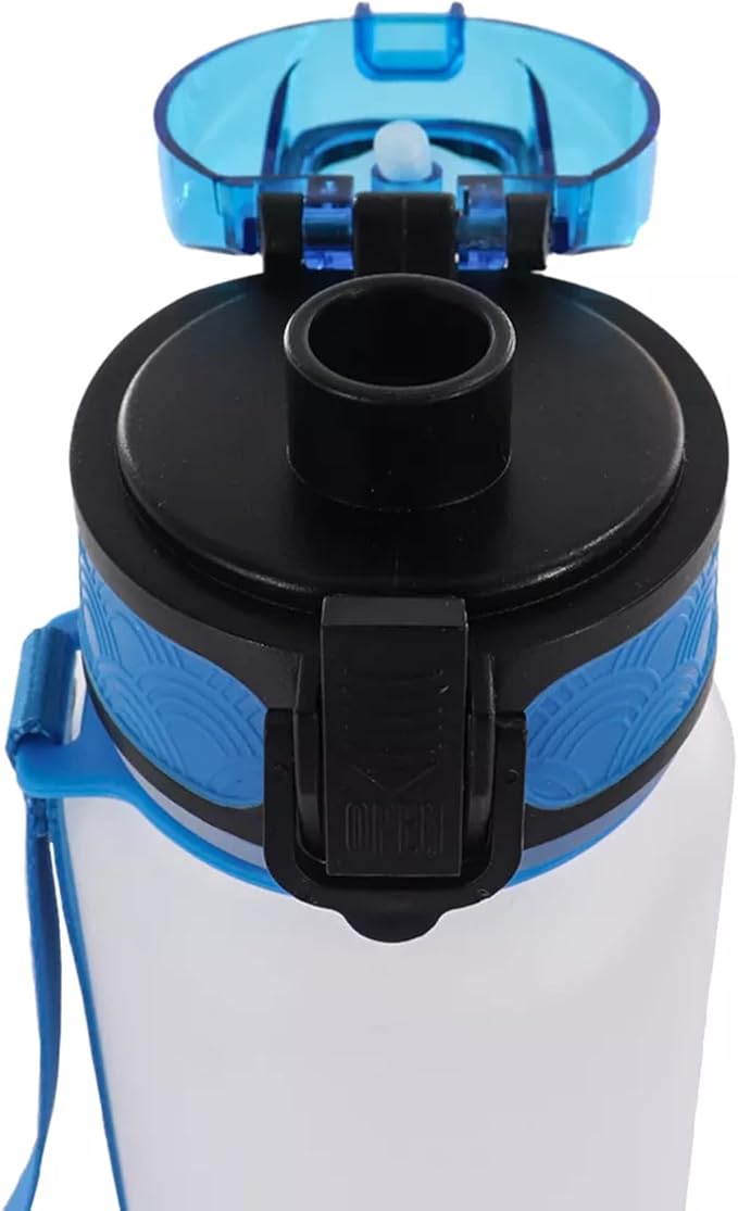 Hyturtle Dinosaur BOTTLE 20032023 No title (Dinosaur 7)