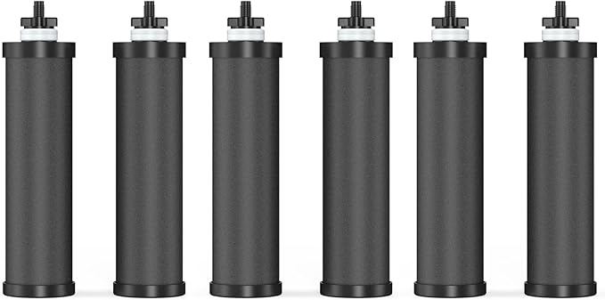 Water Filter Replacement for Berkey® BB9-2® Black Purification Elements, Activated Carbon Filters Compatible with Berkey Gravity Water Filtration System, Pack of 6