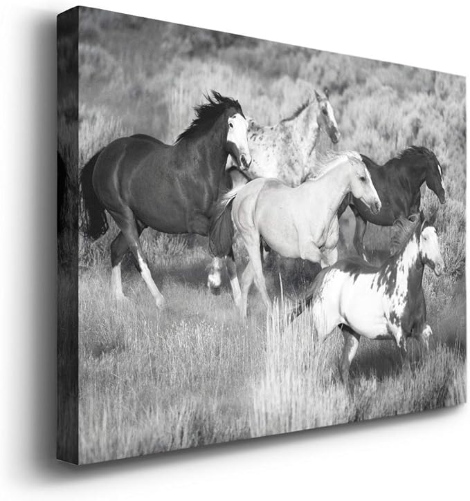 Renditions Gallery Canvas Animal Wall Art Modern Decorations Paintings Running Vintage Horses Black & White Nature Wall Hanging Artwork Prints for Bedroom Office Kitchen - 8"x12" LT33
