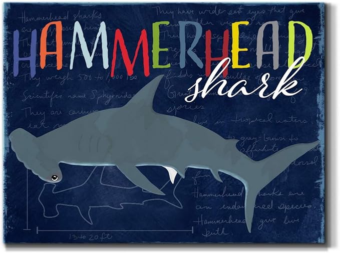 Renditions Gallery Canvas Animal Wall Art Modern Decorations Paintings Colorful Playful Hammerhead Shark Abstract Vibrant Lifestyle Artwork Prints for Kids Bedroom Nursery - 8"x12" LT33