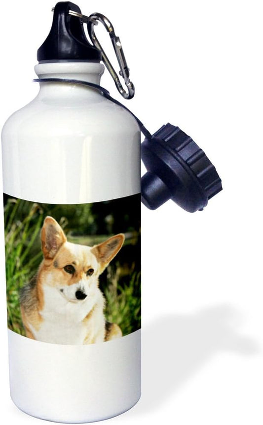 3dRose "Pembroke Welsh Corgi dog NA02 PWO0114 PiperAnne Worcester" Sports Water Bottle, 21 oz, White