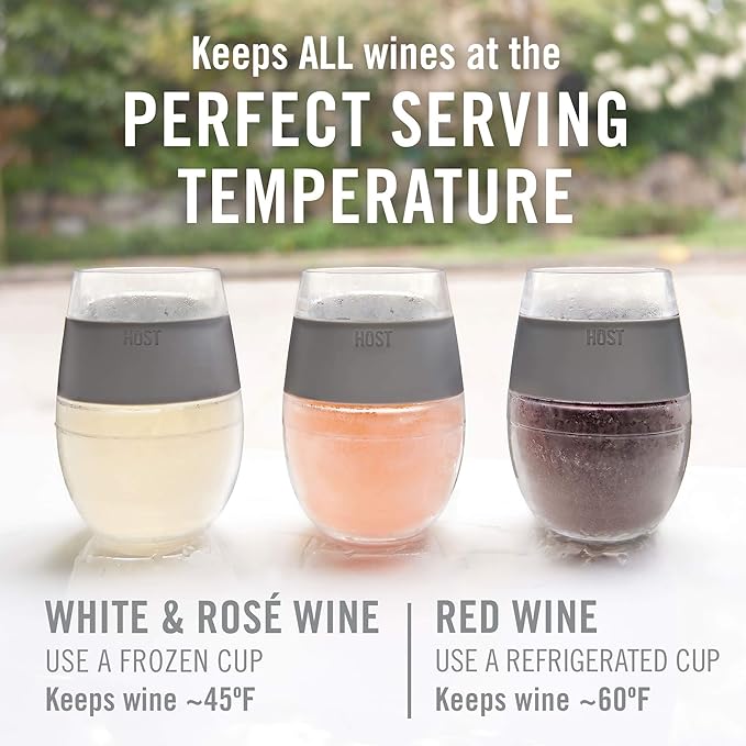 HOST Cooling Cup Set of 4 Plastic Double Wall Insulated Freezable Drink Chilling Tumbler with Freezing Gel, Wine Glasses for Red and White Wine, 8.5 oz, Assorted Translucent Colors