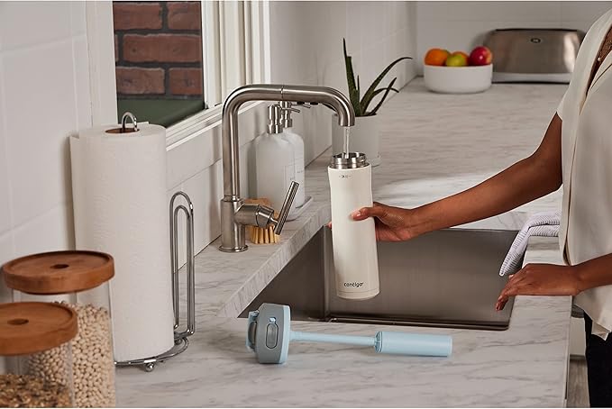 Contigo Wells Chill Stainless Steel Filter Water Bottle with AUTOSPOUT Straw Lid, 24oz., Salt