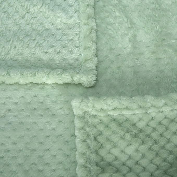 Fuzzy Blanket or Fluffy Blanket for Baby, Soft Warm Cozy Coral Fleece Toddler, Infant or Newborn Receiving Blanket for Crib, Stroller, Travel, Decorative (28Wx40L, XS-Pastel Green)