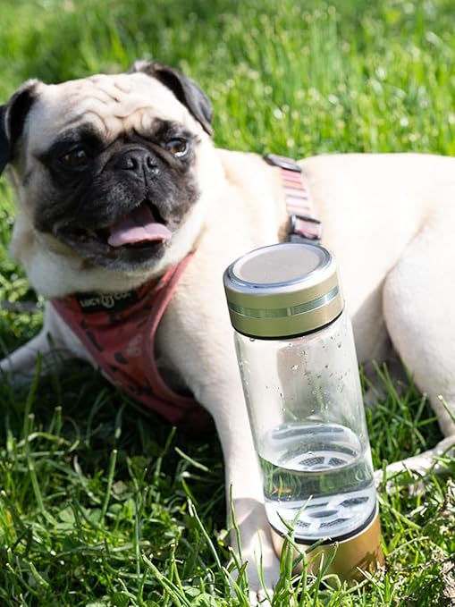 Hydrogen water bottle, 330ml, warm silver, AB-H266C