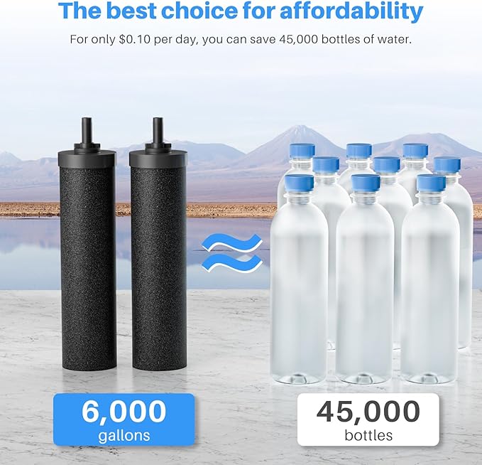 Water Filter Replacement for Berkey BB9-2 Water Filter,Black Berkey Filters Purification Elements Activated Carbon Compatible with Gravity Travel, Large, Royal, Crown Series, 2 Pack